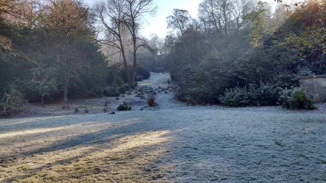 frosty view